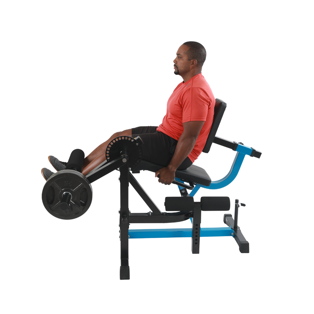 Stamina Leg Extension & Curl Machine - Image 2