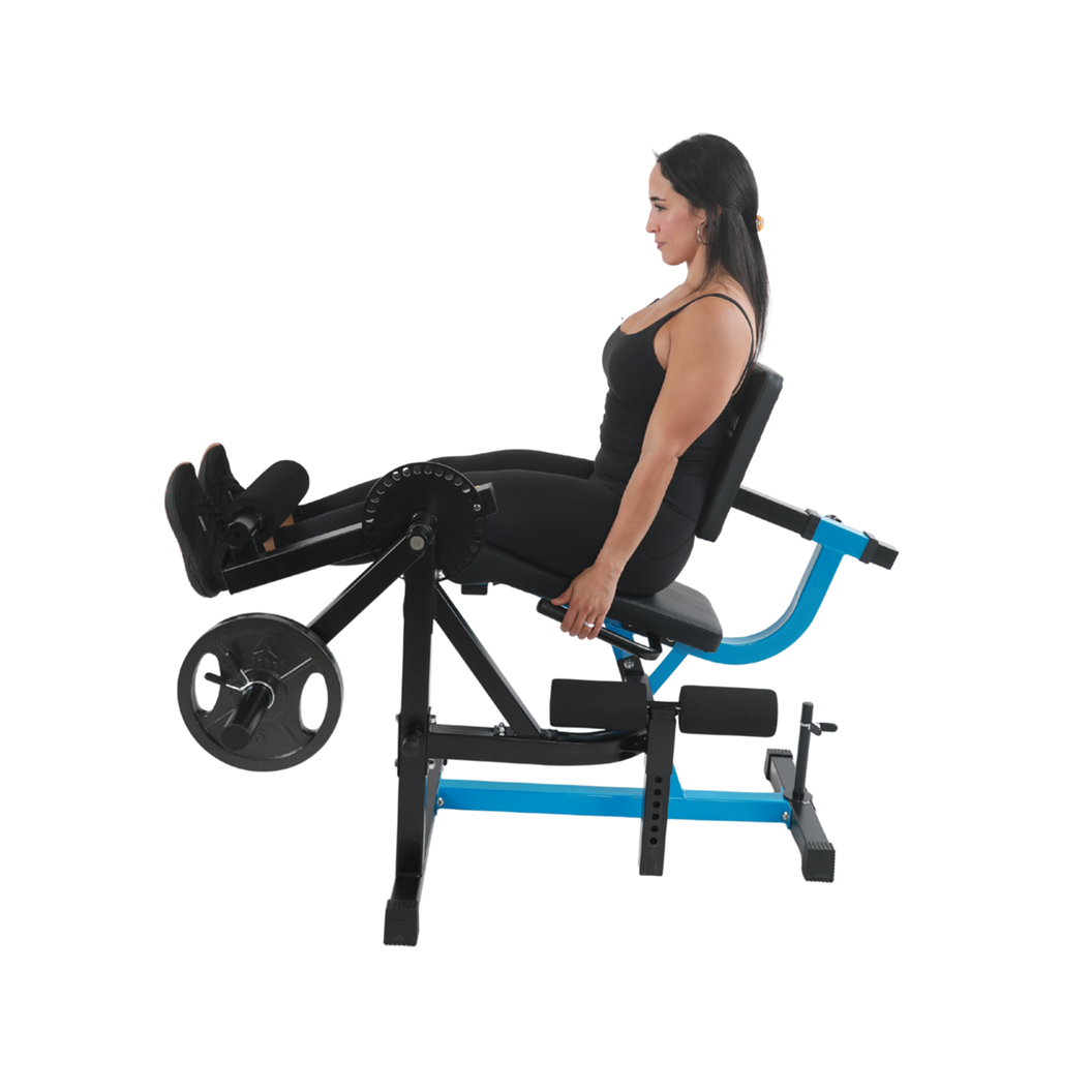 Stamina Leg Extension & Curl Machine - Image 4